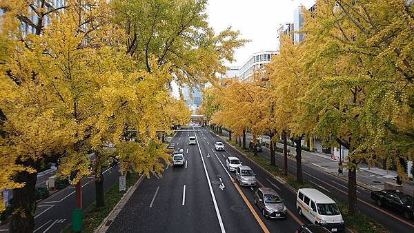 DSC_6629.jpg DSC_6629.jpg