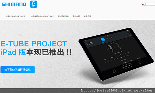 常见问题 Project Professional E Tube Project