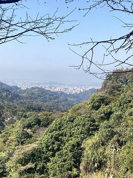 2022-01-15 12.36.19.jpg