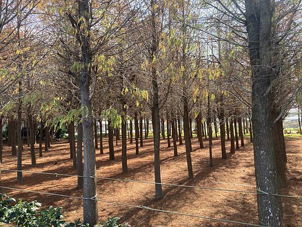 2022-01-15 12.56.31.jpg