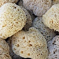 Kalymnos_sponges_2