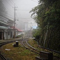 阿里山IMG_1167.JPG