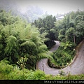 阿里山IMG_1146.JPG