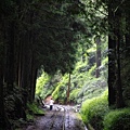 阿里山IMG_1263.JPG