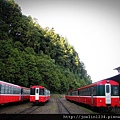 阿里山IMG_1422.JPG