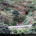 金瓜石單車IMG_6090.JPG