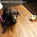 餅乾缺一角Cookies missingIMG_9798