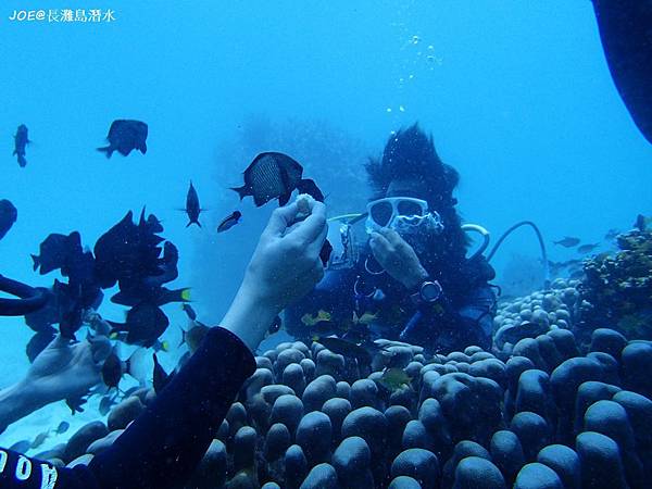 長灘島潛水