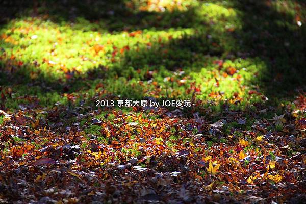 2013京都賞楓_大原三千院