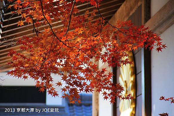 2013京都賞楓_大原三千院