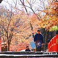 2013京都賞楓_大原三千院