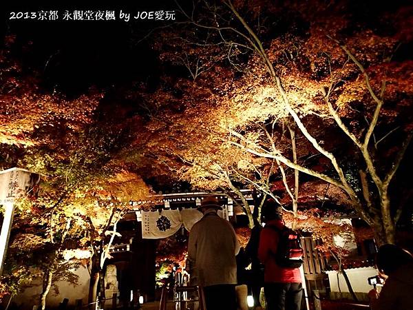 2013京都賞楓_永觀堂夜楓