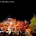 2013京都賞楓_永觀堂夜楓