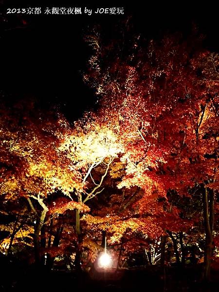 2013京都賞楓_永觀堂夜楓