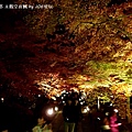 2013京都賞楓_永觀堂夜楓