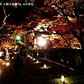 2013京都賞楓_永觀堂夜楓