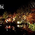 2013京都賞楓_永觀堂夜楓