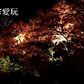 2013京都賞楓_永觀堂夜楓