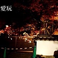 2013京都賞楓_永觀堂夜楓