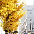 2013京都散策