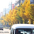2013京都散策