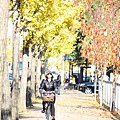 2013京都散策