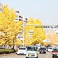 2013京都散策