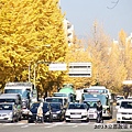 2013京都散策