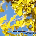 2013京都散策