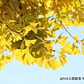 2013京都散策