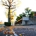 2013京都散策