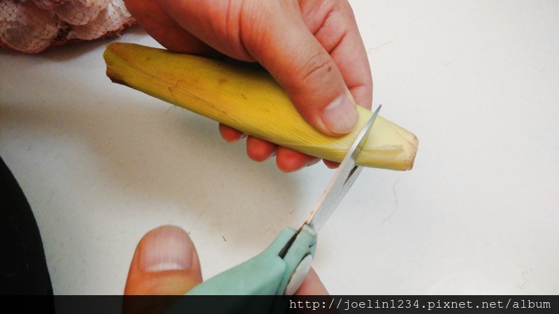玉米筍整理方法