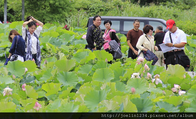 平溪雙溪小旅行 平溪雙溪小旅行