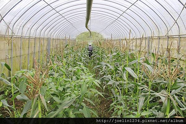 平溪雙溪小旅行