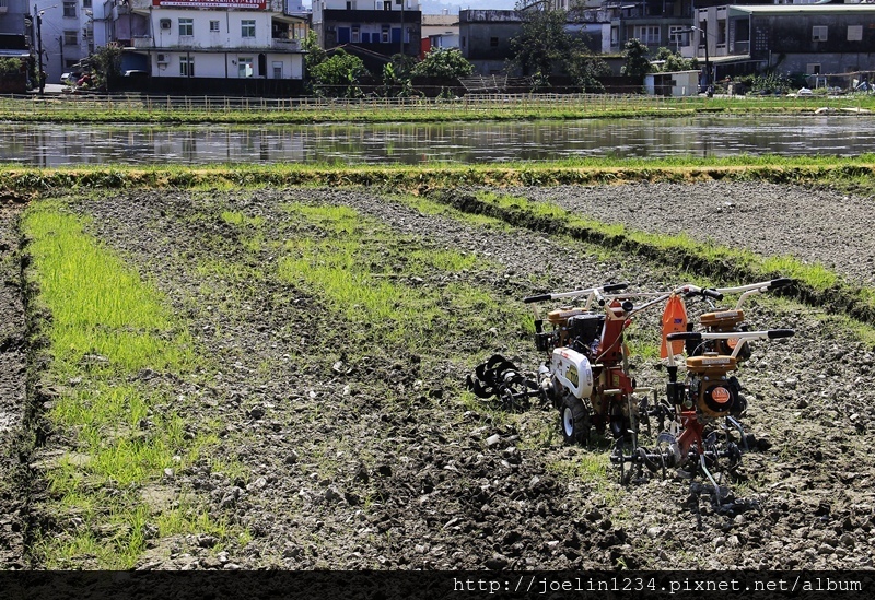 2017綠博_MG_7489.JPG