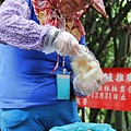 頂林_IMG_9428_800.JPG