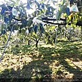 富有IMG_20171025_091451.jpg