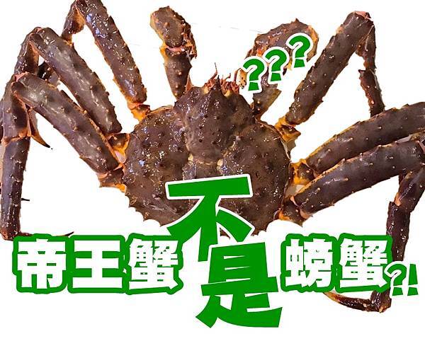 20220920帝王蟹不是螃蟹.jpg