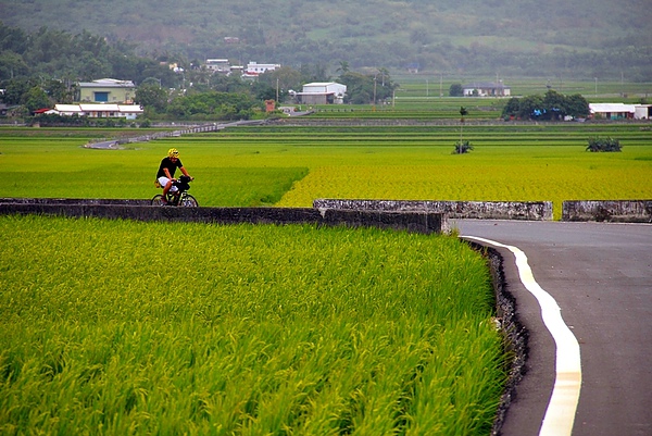 蛙大花東單車之旅第一天314.jpg