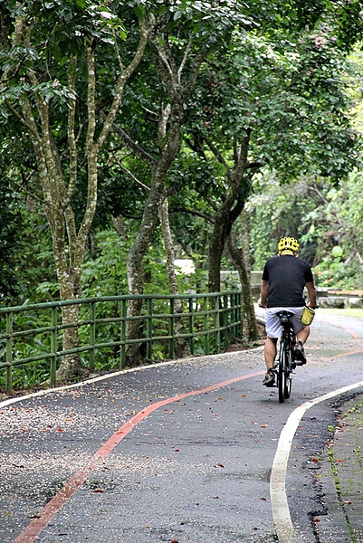 蛙大花東單車之旅第一天367.jpg