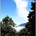 201007台中大雪山05.jpg