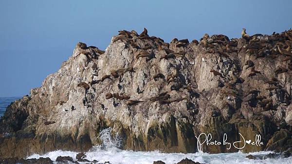 17-Mile Drive, California (22)