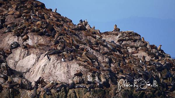 17-Mile Drive, California (27)