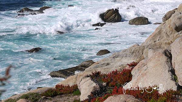 17-Mile Drive, California (38)