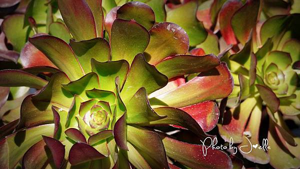 Getty Center (17)