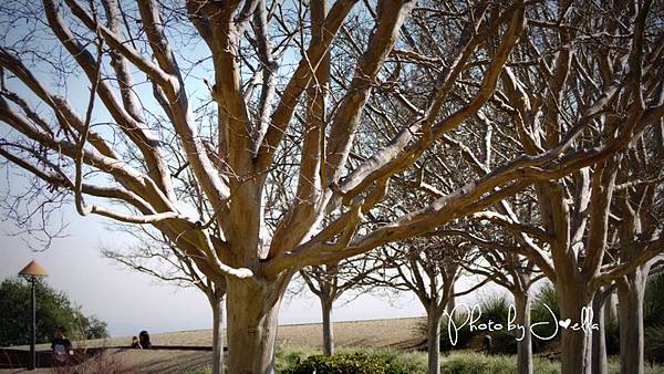 Getty Center (19)