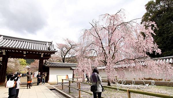 nEO_IMG_醍醐寺 (2)