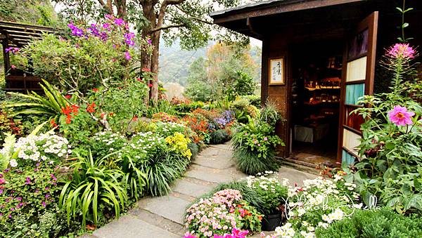 山行玫瑰 (10).jpg 山行玫瑰 (10).jpg