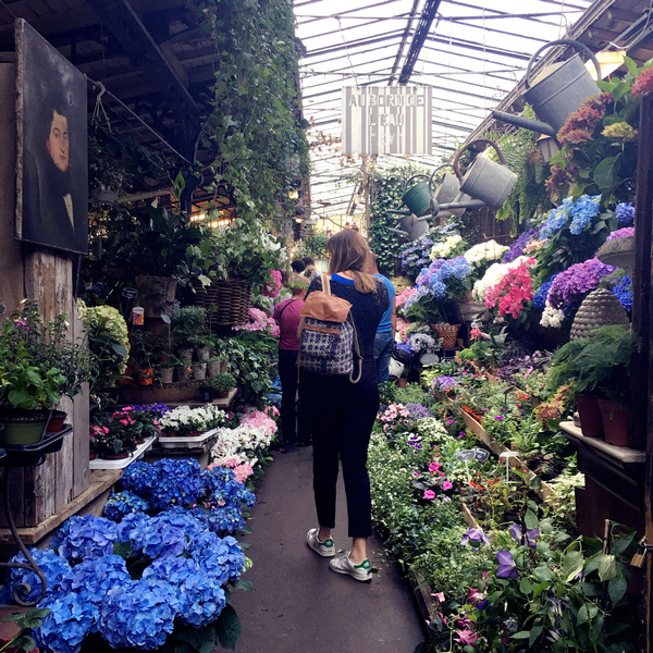 nEO_IMG_IMG_5372.jpg nEO_IMG_IMG_5372.jpg