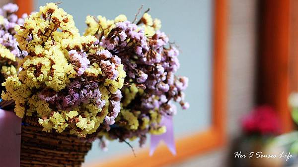 nEO_IMG_羅平花語堂 (10).jpg